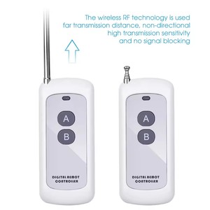 1000M a lungo raggio codice di apprendimento RF telecomando Wireless 2CH interruttore ricevitore Controller trasmettitore con 2 tasti