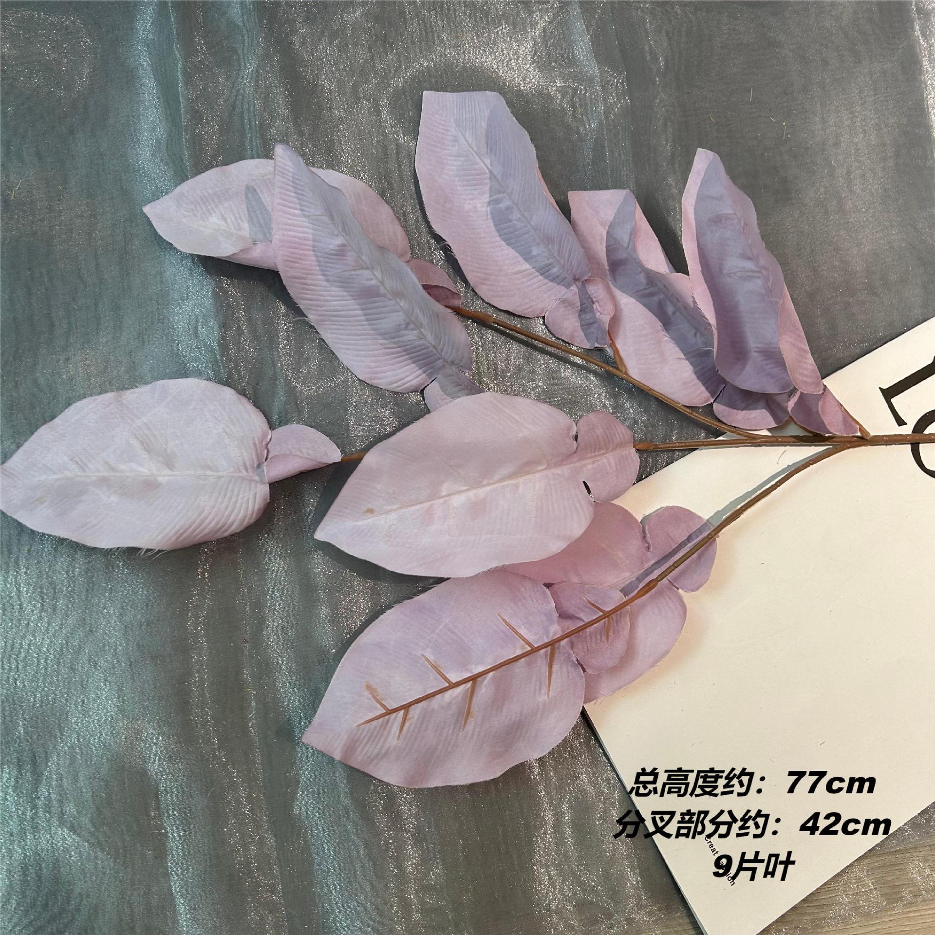 Xgm big pomelo leaves