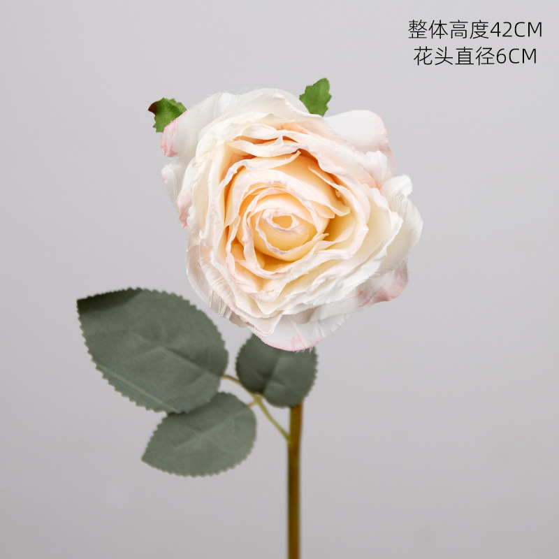 Rose translucide - Rose à bord cuit