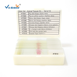 Diapositivas preparadas para Parasitología Médica para estudiantes que aprenden investigación médica, uso de diapositivas preparadas con protozoos de alto estándar - Product Image 6