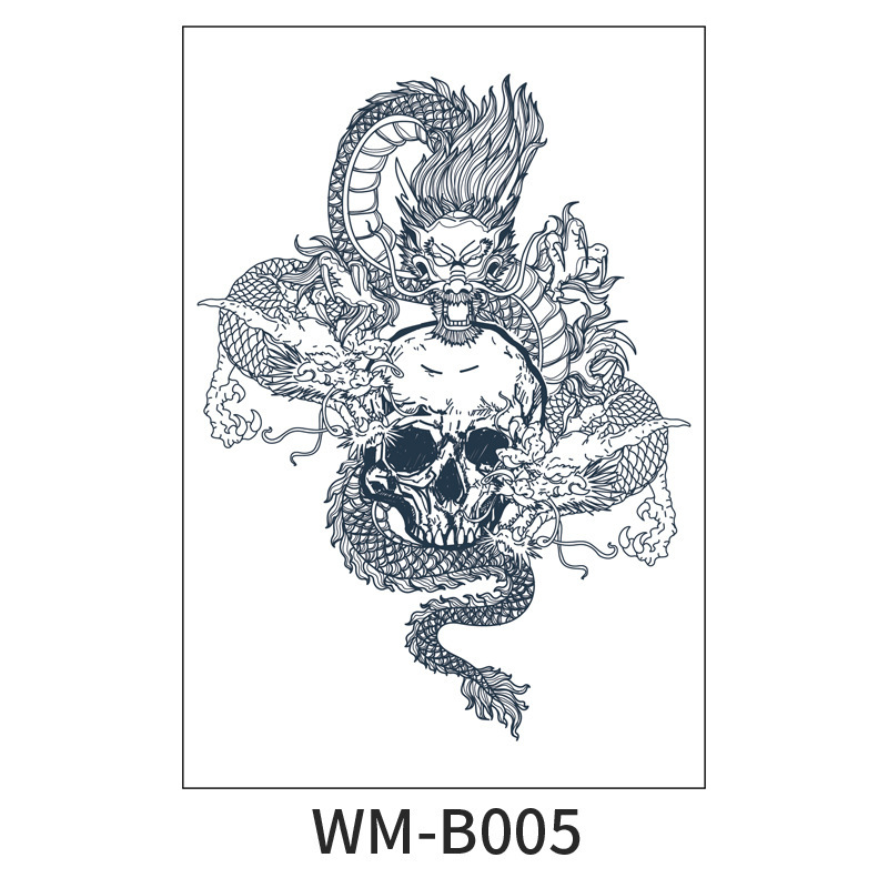 WM-B005