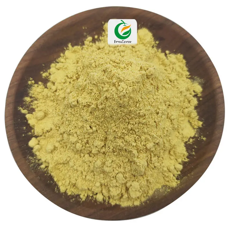 Fruiterco – extrait de racine de gingembre en poudre, extrait de gingembre 5%