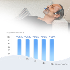 Industrieel En Huishoudelijk Gebruik Mobiele Zuurstofgenerator Gezondheidszorg Zuurstofconcentrator Voor Ouderen - Product Image 5