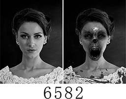 6582