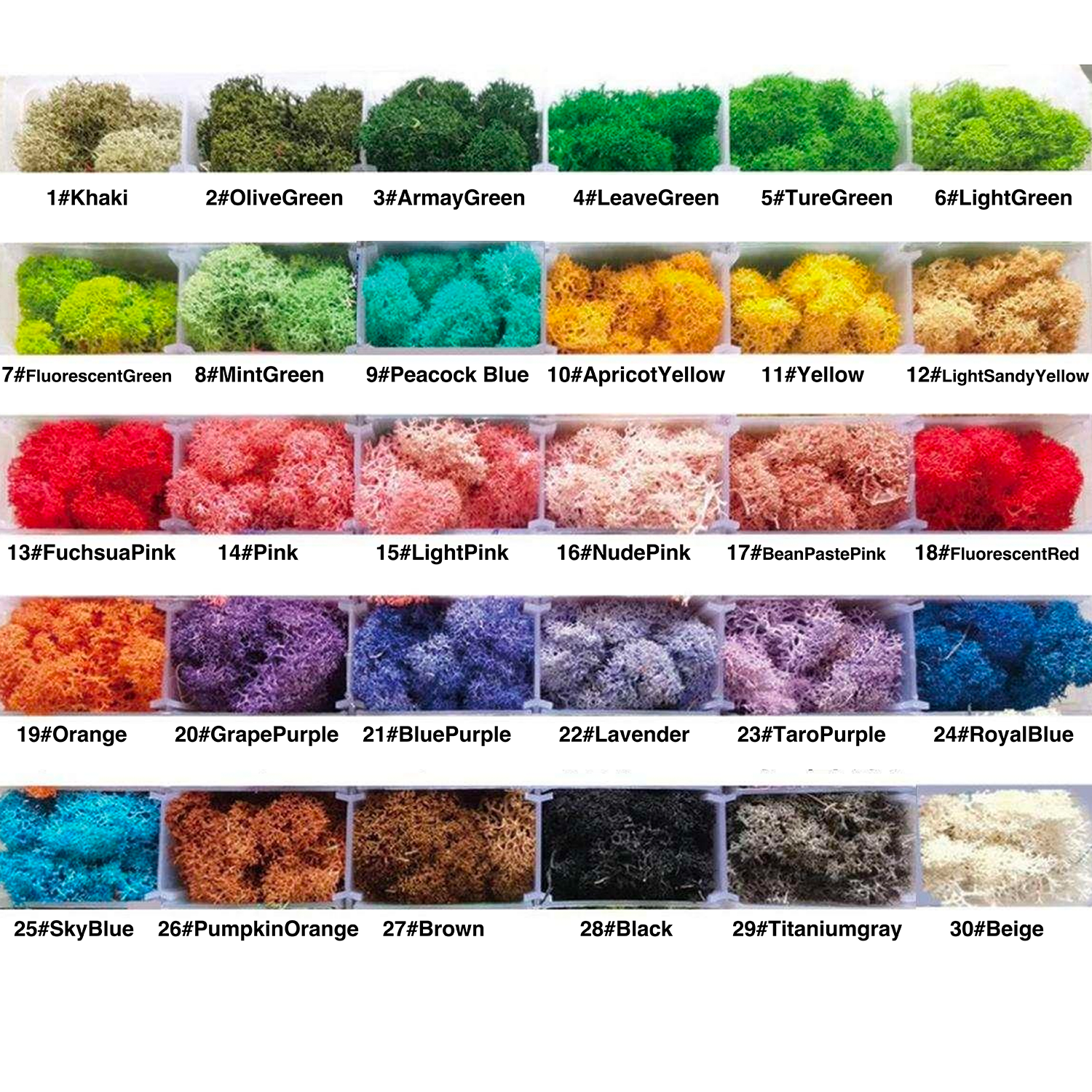 ROSE COLOR
