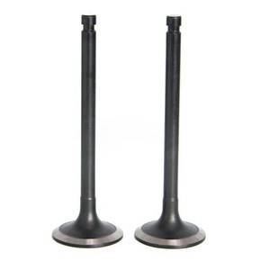 Td226b 12159606 sp105388 13026871 13062451 13026863 Trung Quốc máy móc động cơ van nạp động cơ diesel bộ phận máy móc - Product Image 1