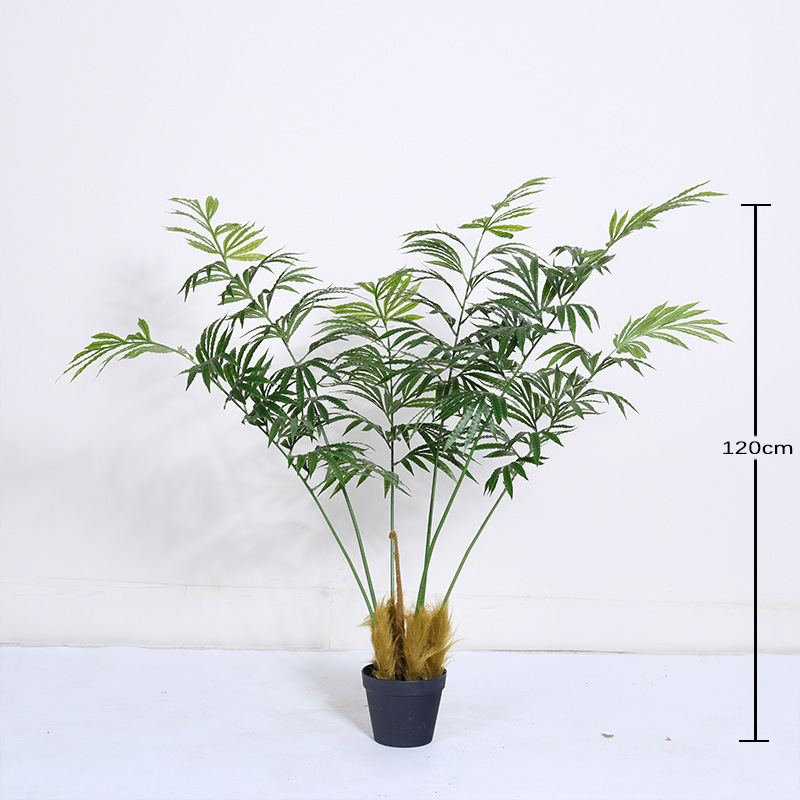 120cm