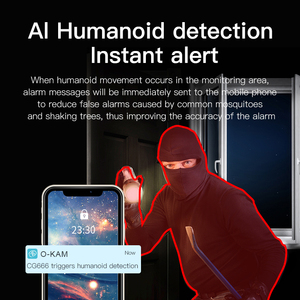 AI人体检测双向音频安全摄像头系统4G PTZ户外摄像头 - Product Image 6
