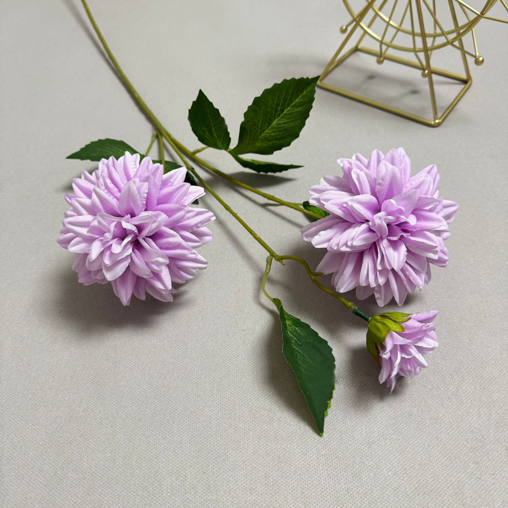Pourpre