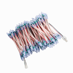 12mm IP68 RGB Addressable <strong>Led</strong> Pixel Module GS8208 for Letter Sign 12V Christmas Lights - Product Image 3