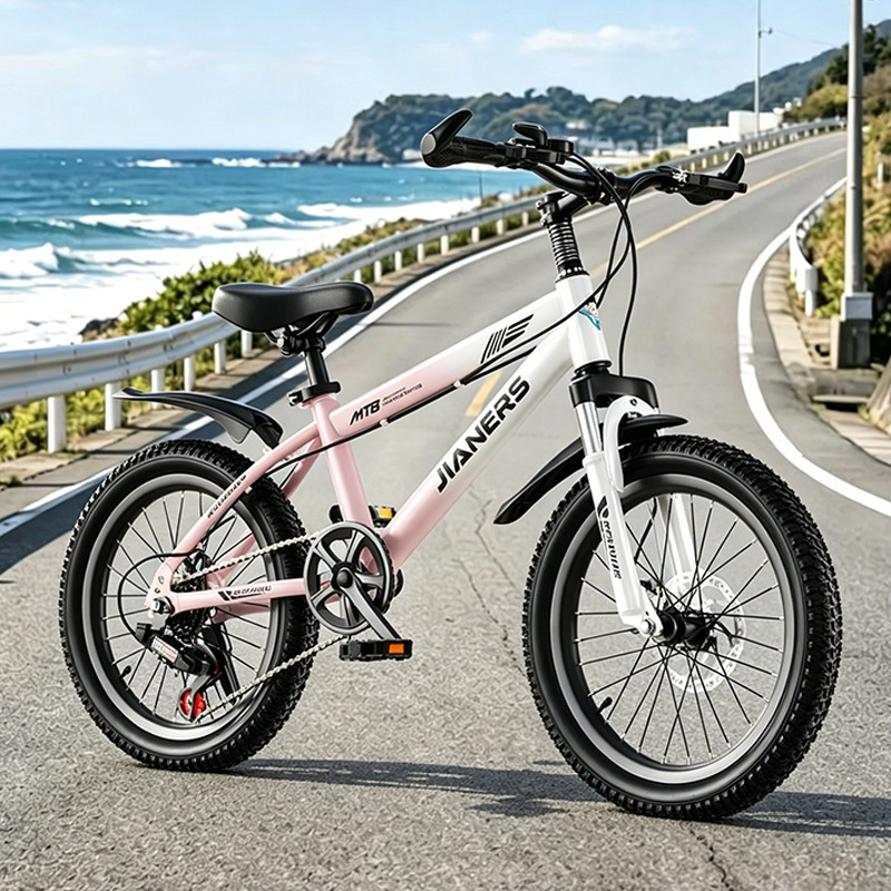Gradient pink-variable speed-disc brakes-shock absorption