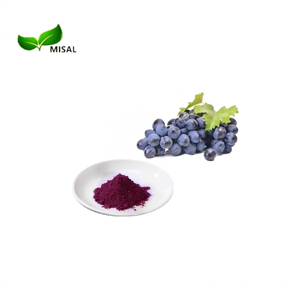 Fornitura del produttore estratto di buccia d'uva/estratto di vite d'uva in polvere