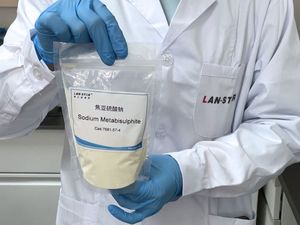 सोडियम मेटाबिसल्फाइड अर्धचालक बैकएंड विनिर्माण प्यूरीफायर पैकेजिंग परीक्षण वातावरण स्थिरीकरण - Product Image 5