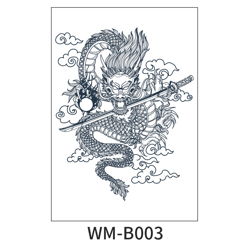 WM-B003