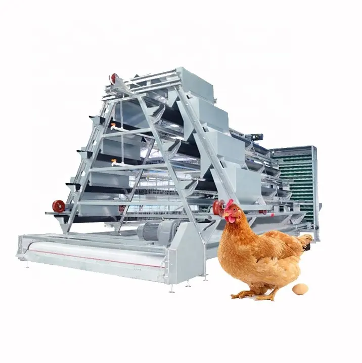 Jaula automática para gallinas ponedoras de granja de huevos de pollo tipo A utilizada en gallinero avícola