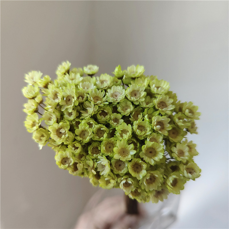 18 grams - light green