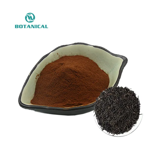 B.C.I Supply Black Tea Extract Tea Extract Powder Theaflavins 20% 40% 60%
