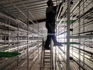 1000-1500Kg/Ngày Tự Động Cỏ Thức Ăn Gia Súc Lúa Mạch Thủy Canh Thức Ăn Gia Súc Máy/Thủy Canh Thức Ăn Gia Súc Container Hệ Thống Cho Động Vật - Product Image 3