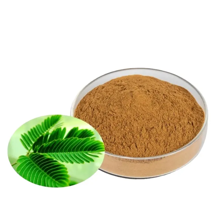 Hot Sale sensitive plant Extract mimosa root bark extract 10:1 Mimosa Extract Powder