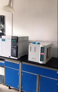2LPM <strong>Fuel</strong> <strong>Cell</strong> <strong>Use</strong> Hydrogen Generator - Product Image 4
