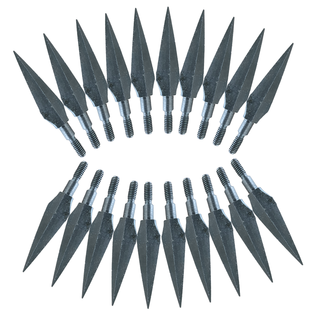 Flèche feuille de saule noire