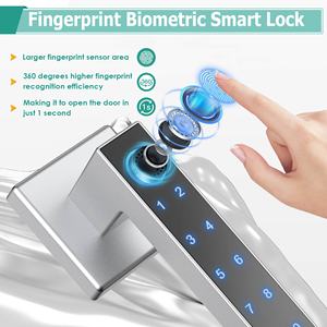Camakt 2024 <strong>New</strong> Silver Tuya Smart <strong>Lock</strong> Door Face Recognition Fingerprint Password Card <strong>Key</strong> Smart Door <strong>Lock</strong> - Product Image 2