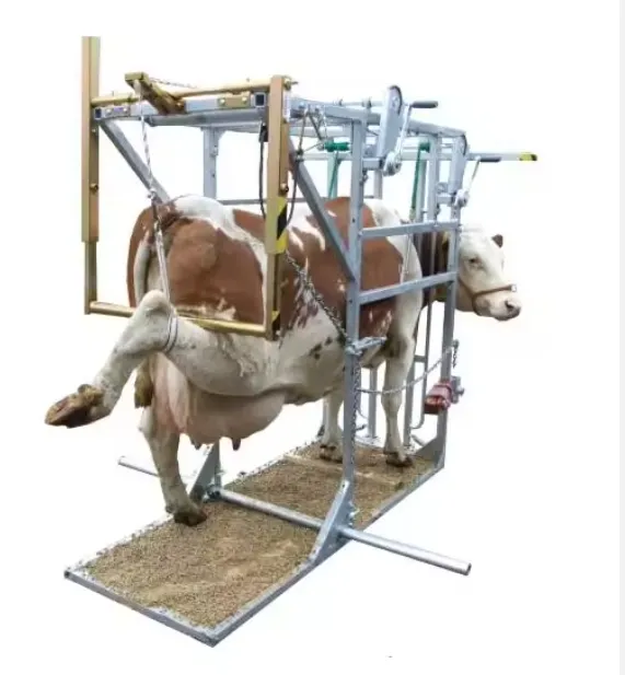 Équipement d'élevage de bétail/coupe de sabot de bétail/chute équipement d'élevage de bétail équipement vertical de coupe de sabot de bétail acier