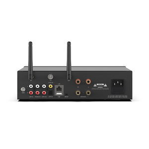 A100 100W*2 Power <strong>Amplifier</strong> MIC <strong>Input</strong> Internet FM Radio System Home Theater - Product Image 5