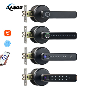 Parmak izi iç giriş akıllı elektrikli kapı kolu kilidi şifre anahtarsız akıllı kapı kolları kilitleri - Product Image 1