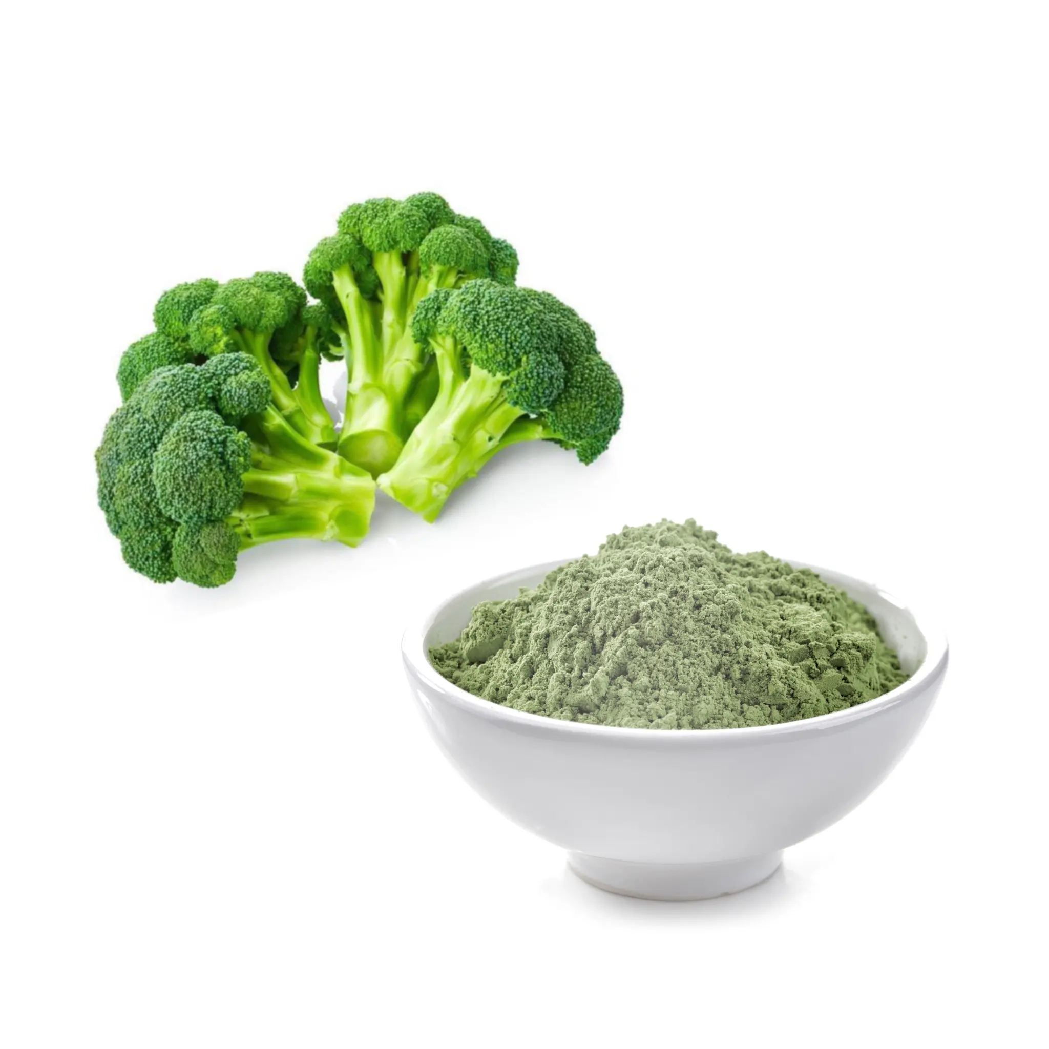 Produzione all'ingrosso di estratto di Broccoli di alta qualità in polvere
