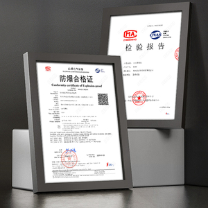 工厂供应防水led灯防爆灯，等级为IP66 - Product Image 2