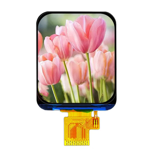 Display TFT da 1.69 pollici 240x280 modulo Display LCD Touch Screen LCD da 1.7 pollici per orologio Smart Touch - Product Image 1