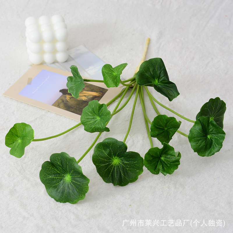 Petite feuille de lotus