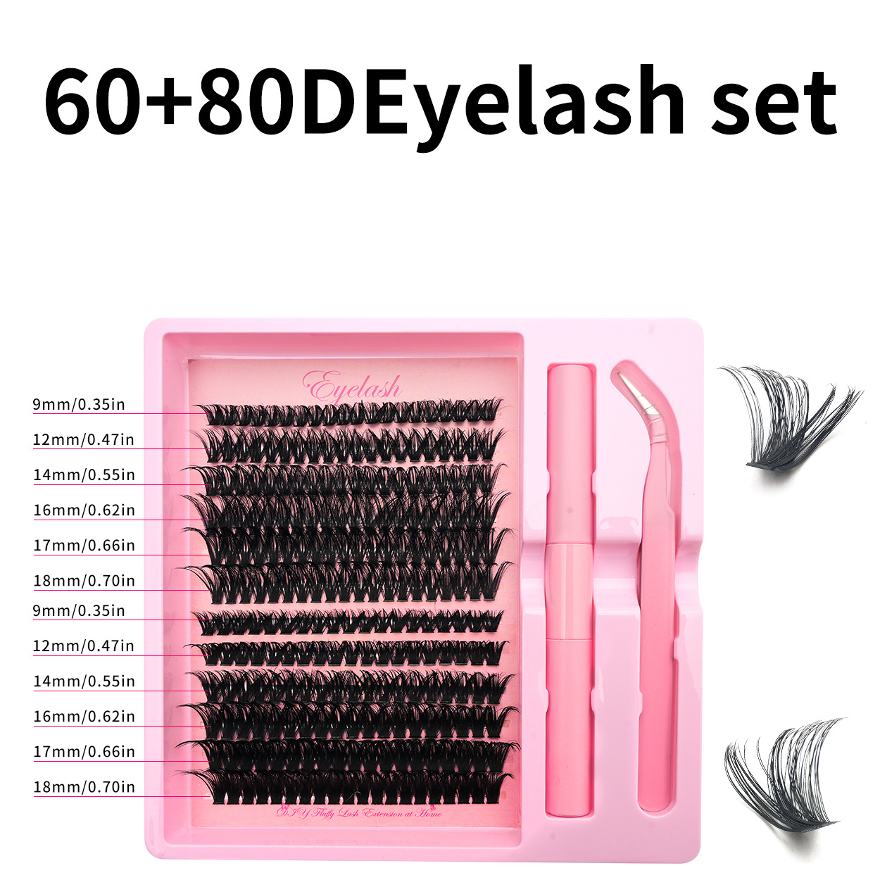 Ensemble 60D+80D