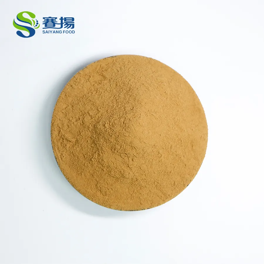 Estratto di origano in polvere di alta qualità miglior prezzo estratto di foglie di origano 2% acido rosmarinico