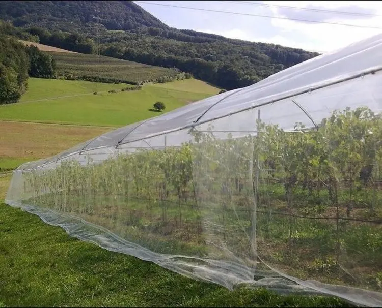 HDPE anti inseto net estufa agrícola pulgão net inseto prova malha rede