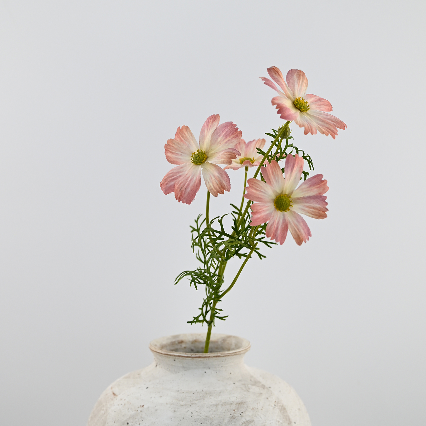 Light Pink white