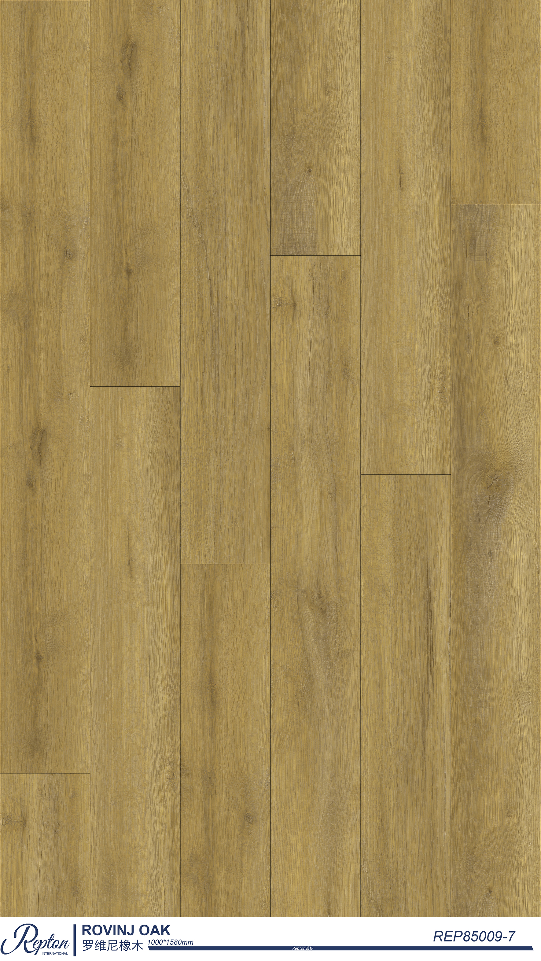 ROVINJ OAK