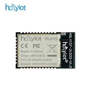 Holyiot nRF52832 ZigbeeモジュールBle5.0超低電力消費モジュールFcc Ce証明 - Product Image 3