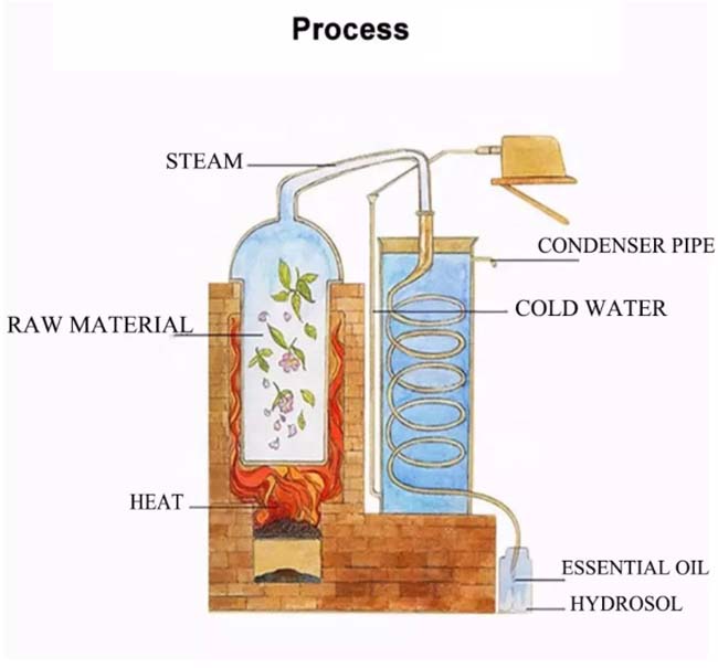 HPLC Huile essentielle d'eucalyptus aromatique pur pour lutter contre le gonflement CAS 470-82-6 1