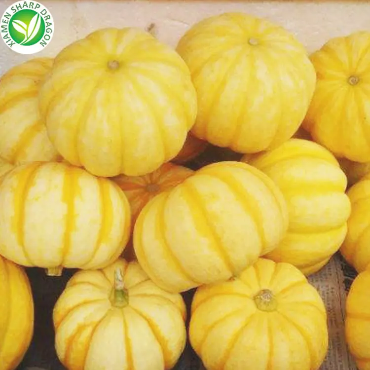 IQF congelado dulce dorado amarillo naranja mini pequeño miniatura pequeña calabaza precio al por mayor a granel sin azúcar congelar