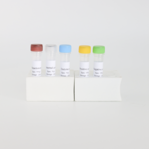Porcine Parvovirus (PPV) Real-Time PCR Detection Kit | 48T/Box | CE Certified | Veterinary Diagnostic <strong>Test</strong> - Product Image 6