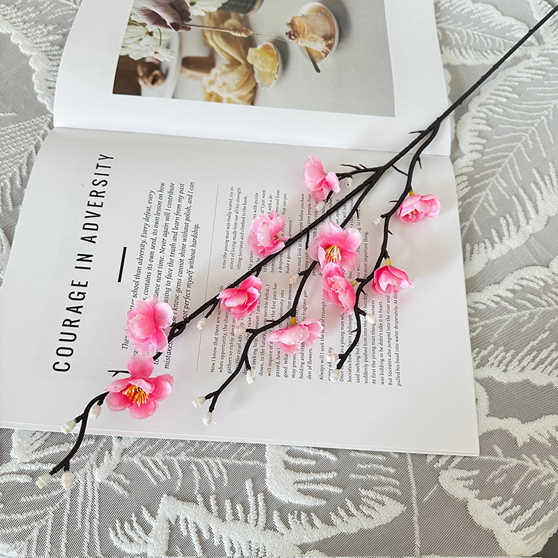 Mini Chimonanthe d'hiver, Rose