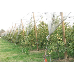 Hdpe Anti-Insekten netz Baums chutz Anti-Hagel-Netz Anti-Hagel-Netz Landwirtschaft schutz - Product Image 3