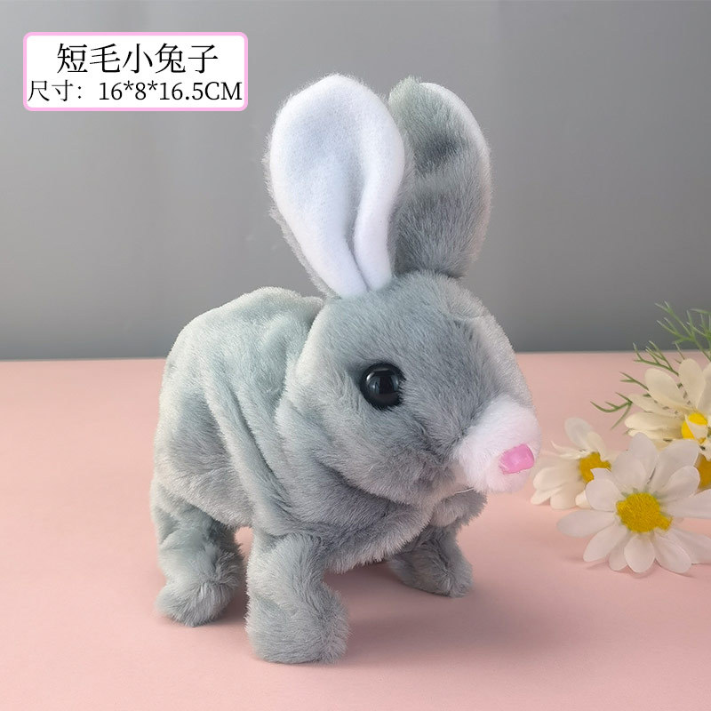 Lapin à poils courts (gris)