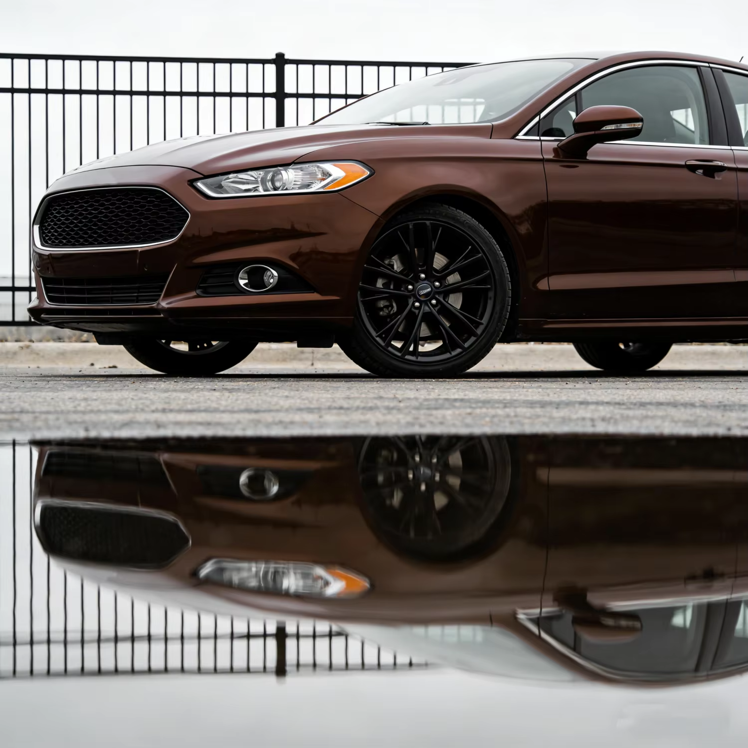 สีน้ำตาล