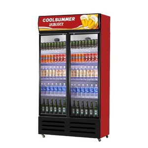 Single-Temperature Thermostat Freezer Butchery Equipment Cabinet with Vertical Glass Door <strong>Computer</strong> Medicine Storage - Product Image 5