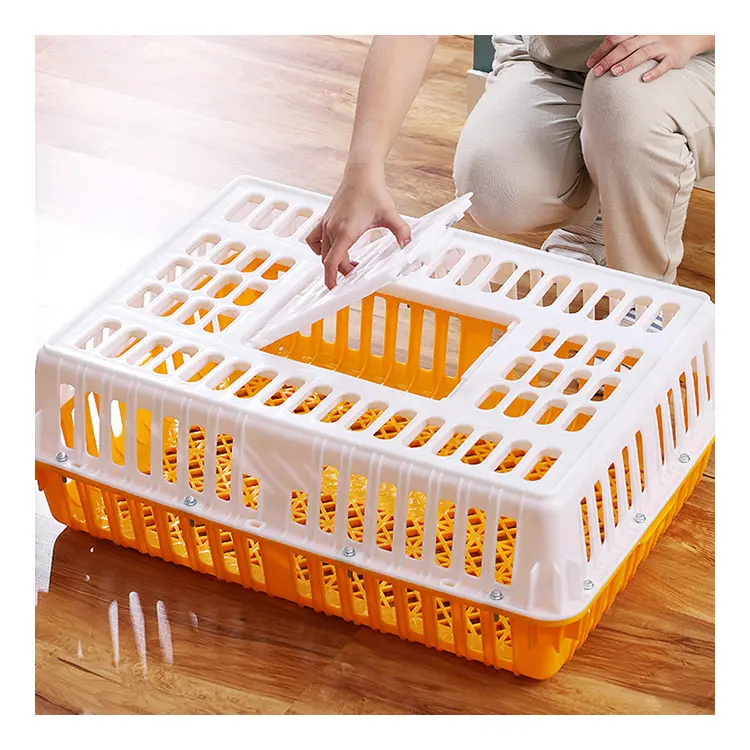 Kandang kotak pembawa unggas peti transportasi merpati ayam plastik