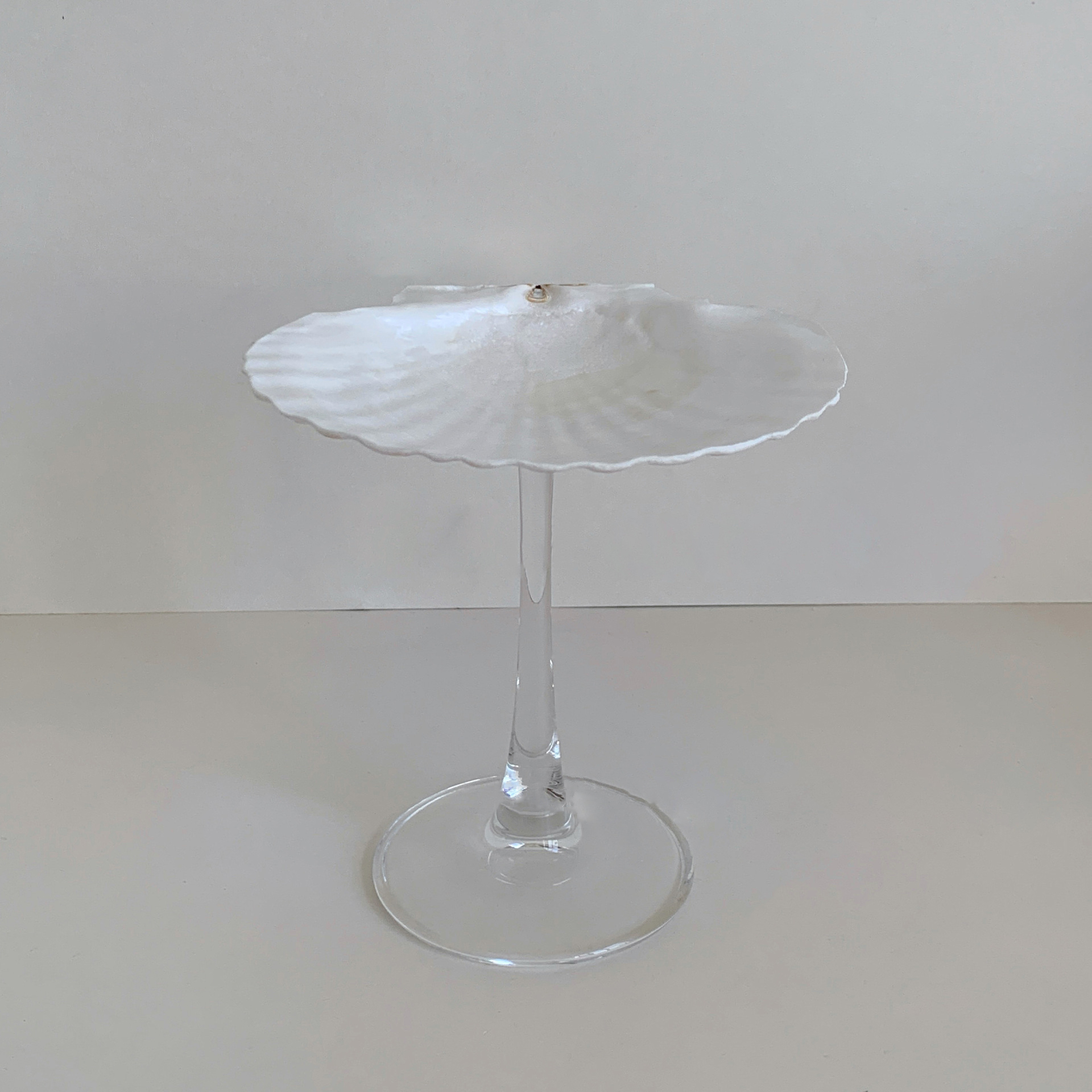 Vaso de cristal con base de vieira blanca