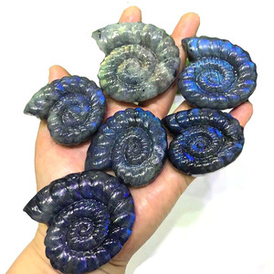 Fósil de labradorita de color natural tallado a mano, conchas de cuarzo, especímenes de caracol, venta al por mayor - Product Image 1